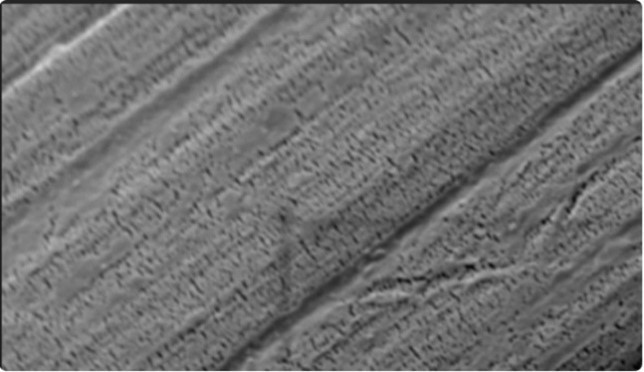 what is etched PTFE wire